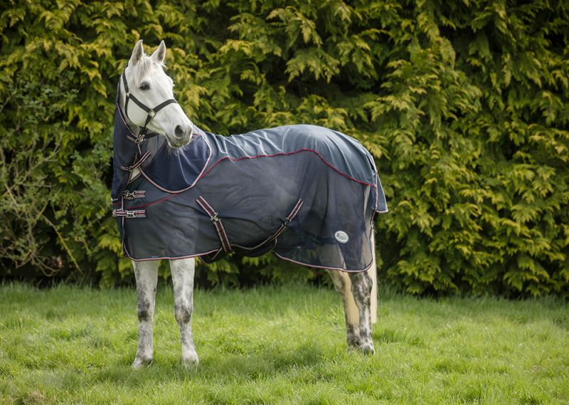RHINEGOLD MOMBASA FLY RUG - showerproof top line.