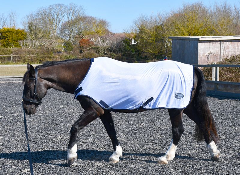EXERCISE/REHAB RUG