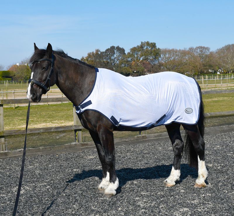 EXERCISE/REHAB RUG