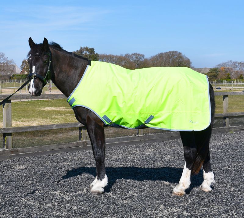 RHINEGOLD HORSE WALKER/LUNGE RUG