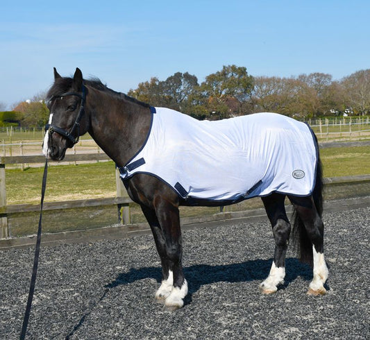 EXERCISE/REHAB RUG